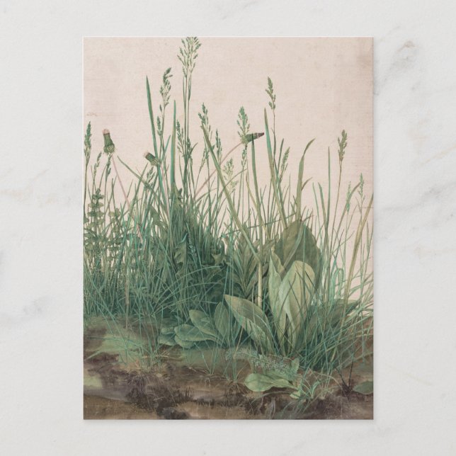 Cartão Postal Albrecht Durer Sketch (Frente)