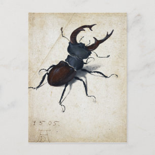 Cartão Postal Albrecht Dürer Stag Beetle