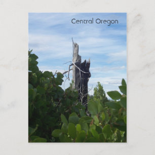 Cartão Postal alcance