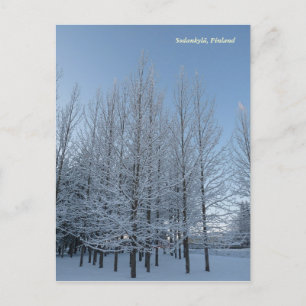 Cartão Postal Alcance para o céu