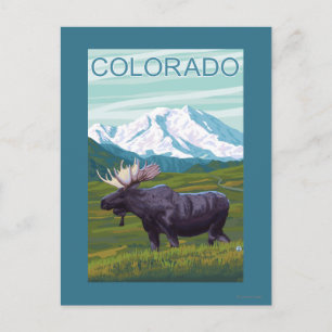 Cartão Postal Alce com MountainColorado
