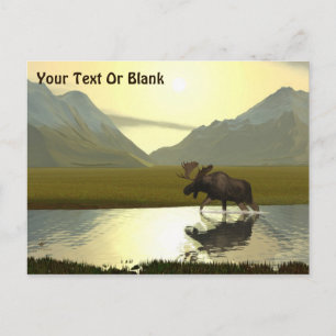 Cartão Postal Alce da Tarde