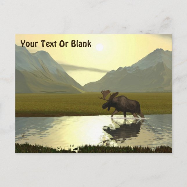 Cartão Postal Alce da Tarde (Frente)