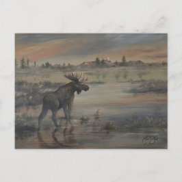 Cartão Postal Alce Majestoso