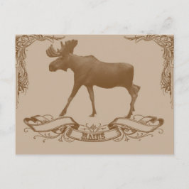 Cartão Postal alces maine