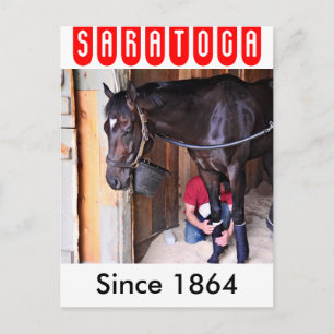 Cartão Postal Alcolite - Cavalo Haven Barns em Saratoga