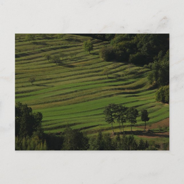 Cartão Postal Aldeia de Prem, Colinas de Brkini, Eslovênia (Frente)