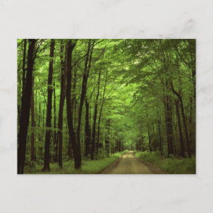 Cartão Postal Alegheny National Park, Pensilvânia