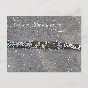 Cartão Postal Alegria de Rumi das pétalas do primavera