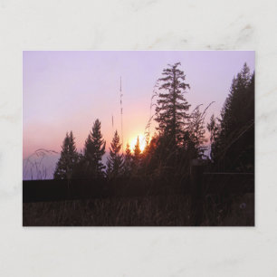 Cartão Postal Além das árvores......Postal