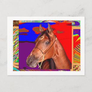 Cartão Postal Alerta Cute Brown HORSE : Stallion Racer