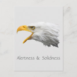 Cartão Postal Alerta de Águia Balsa e Solidão personalizáveis