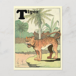 Cartão Postal Alfabeto Animal Tigre da Selva