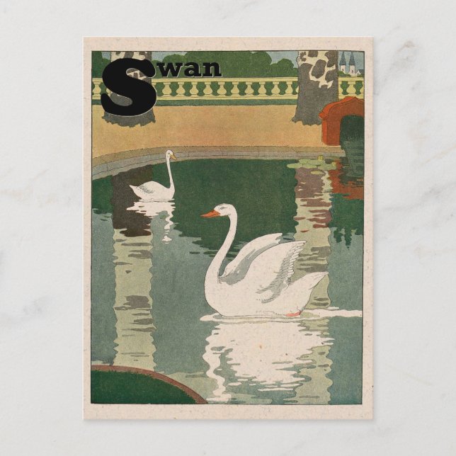 Cartão Postal Alfabeto Cisne Branco (Frente)