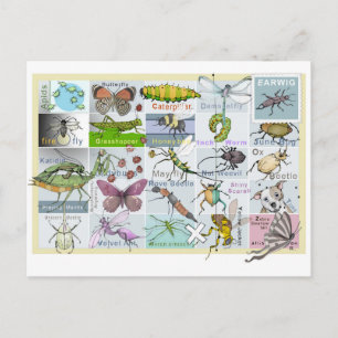 Cartão Postal Alfabeto Inseto