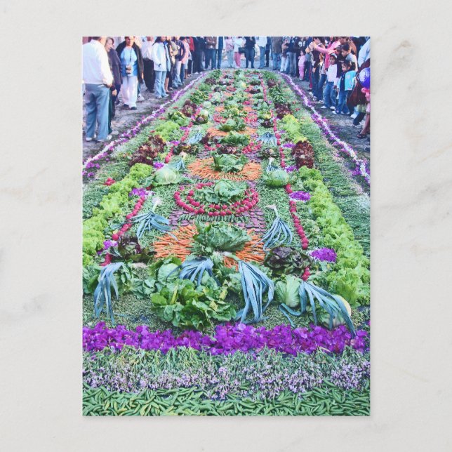 Cartão Postal álfombra 16 (Frente)