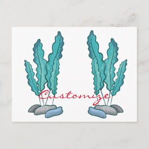 Cartão Postal Algas Azuis Algas Thunder_Cove