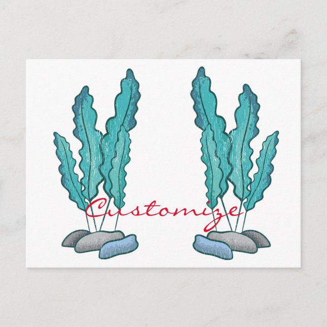 Cartão Postal Algas Azuis Algas Thunder_Cove (Frente)