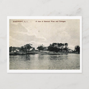 Cartão Postal Algodão ao longo do mar, Eastport, NY Vintage