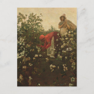 Cartão Postal Algodão de pland