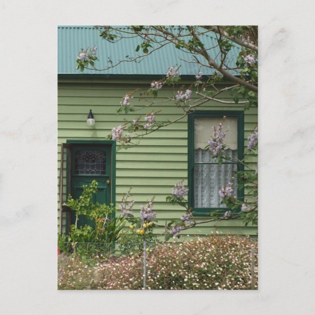 Cartão Postal Algodão Verde (Frente)