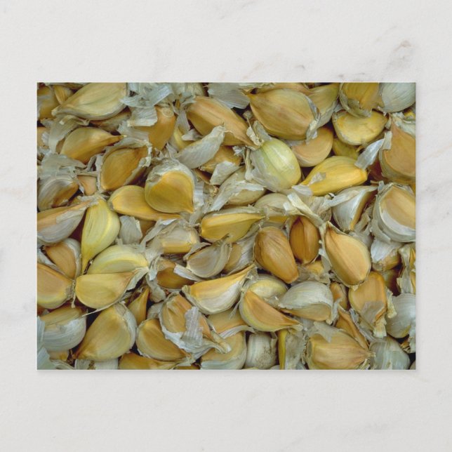 Cartão Postal Alho Único (Frente)