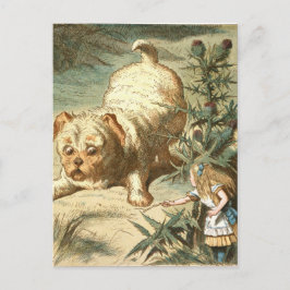 Cartão Postal Alice