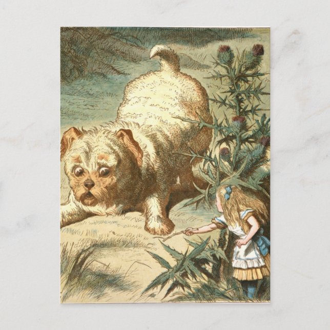 Cartão Postal Alice (Frente)