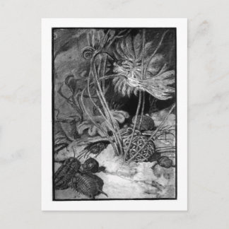 Cartão Postal Alice B. Madeira: Cartaz da Marinha Ordovicial