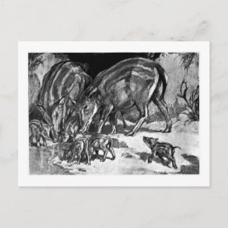 Cartão Postal Alice B. Woodward: Hyapotamus art poscard