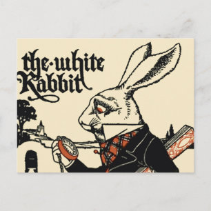 Cartão Postal Alice Coelho Branco Clássico Wonderland 