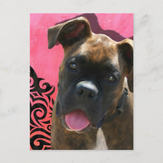 Cartão Postal Alice o Pup Boxer de Jen Geraghty