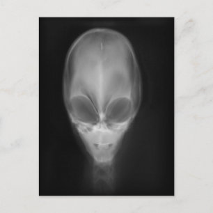 Cartão Postal Alienígena Skull X-ray
