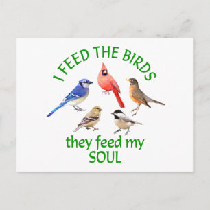 CARTÃO POSTAL ALIMENTAÇÃO DE AVES