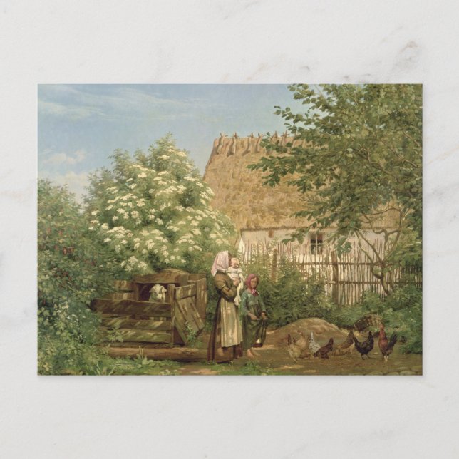 Cartão Postal Alimentando os frangos (Frente)