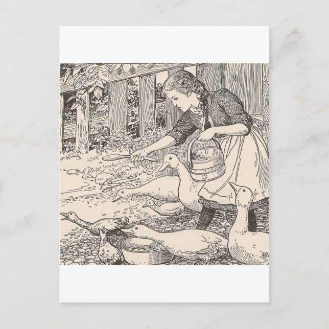 Cartão Postal Alimentando os patos (Frente)