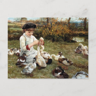 Cartão Postal Alimentando os Patos