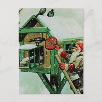 Cartão Postal “Alimentando Pássaros de Inverno” por Jenny Nystro