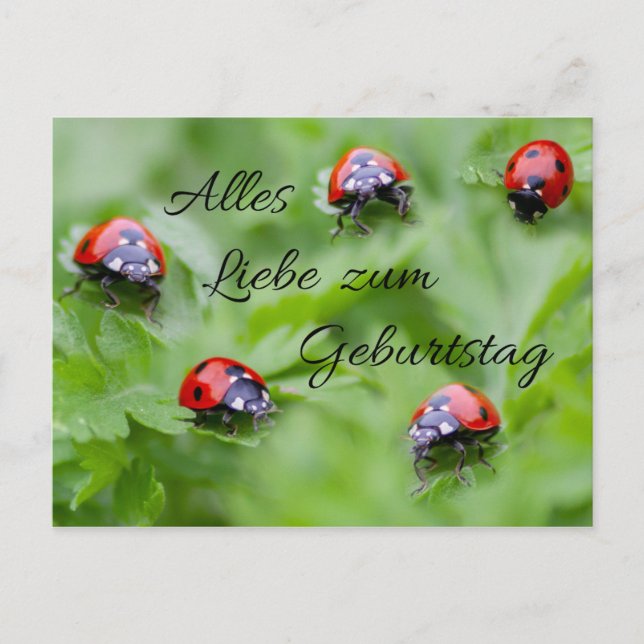Cartão Postal Alles Liebe zum Geburtstag! (Frente)