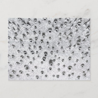 Cartão Postal allí, um mundo mais seco