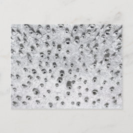 Cartão Postal allí, um mundo mais seco