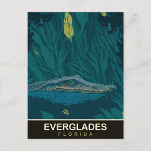Cartão Postal Alligador em Everglades, Flórida, Viagem