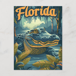 Cartão Postal Alligator Florida Everglades