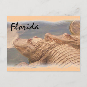 Cartão postal Alligator love Florida