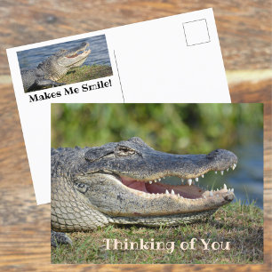 Cartão Postal Alligator sorrindo pensando em você