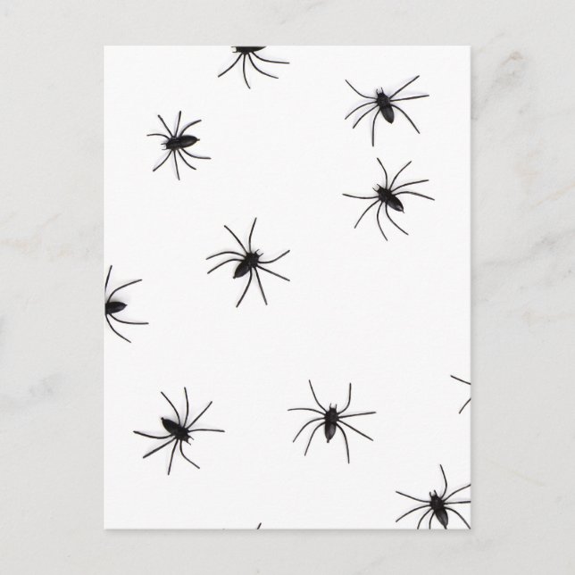 Cartão Postal Allover Spiders Halloween (Frente)