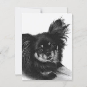 Cartão Postal Alma Doce - Trabalho de arte Chihuahua Pintado à M