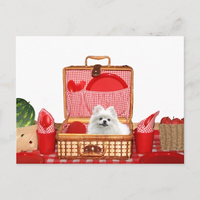 Cartão Postal Almoço do vamos (Frente)