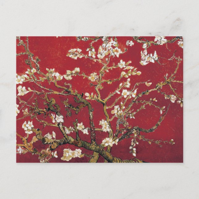 Cartão Postal Almond Blossoms Red Vincent van Gogh Art Painting (Frente)