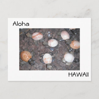 Cartão Postal Aloha